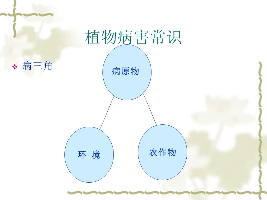 植保员培训课件.ppt_第3页