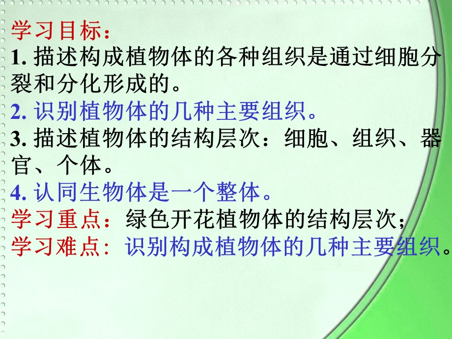 植物体的结构层次.ppt_第2页