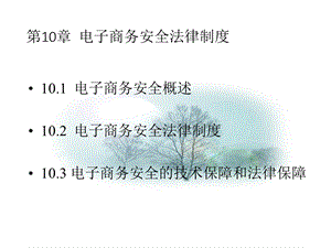 第10章电子商务安全法律制度.ppt