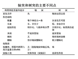 神经生物学总结.ppt