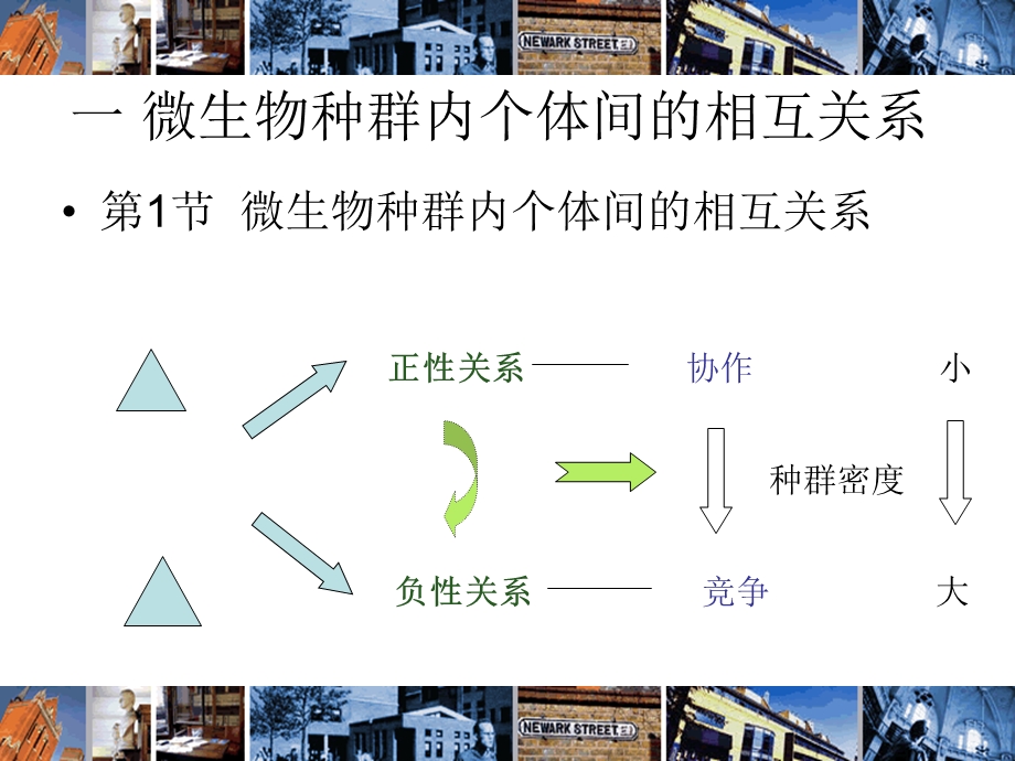 第三章微生物与微生物的关系.ppt_第2页