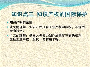 知识产权的国际保护.ppt