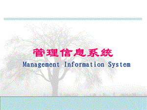 管理信息系统ppt.ppt