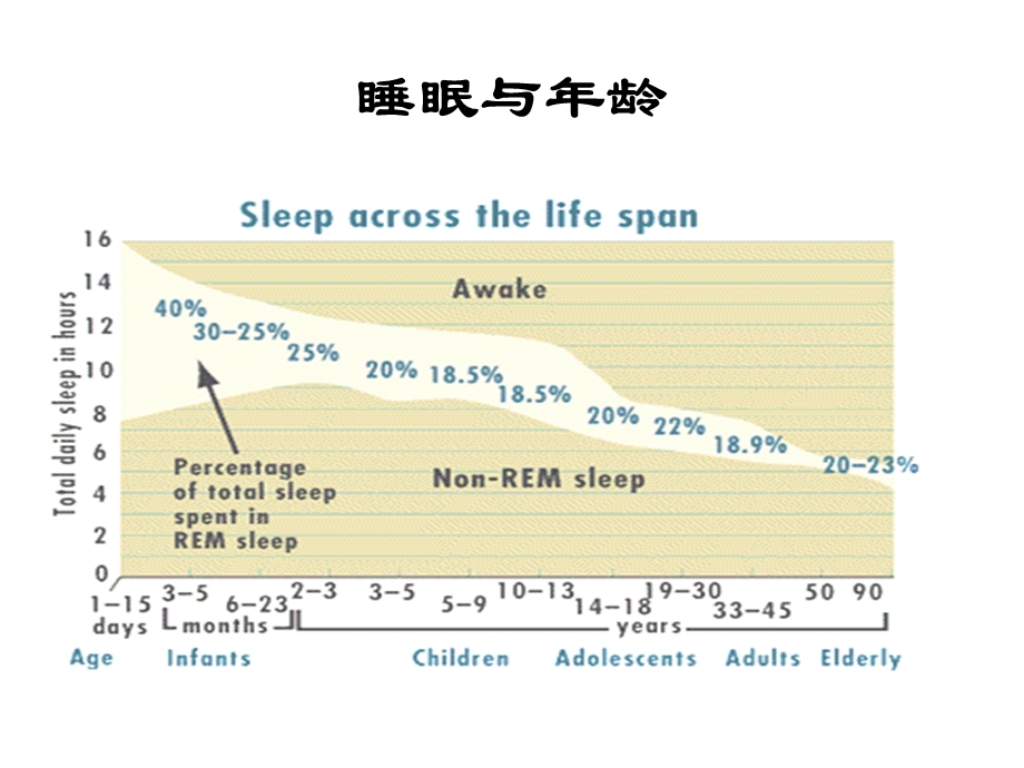 睡眠障碍精品医学课件.ppt_第3页