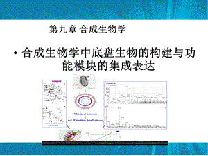 第九章合成生物学.ppt