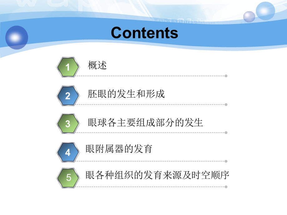 眼的发育生物学.ppt_第2页