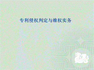 知识产权培训专利行政执法.ppt