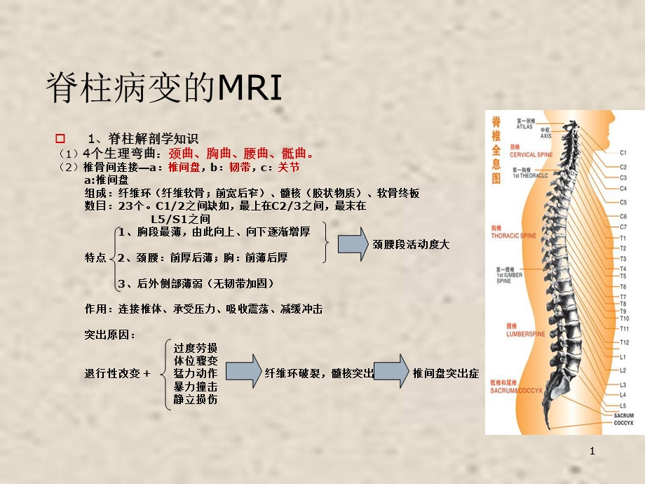 脊柱医学PPT课件.ppt_第1页