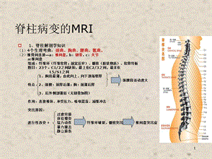 脊柱医学PPT课件.ppt