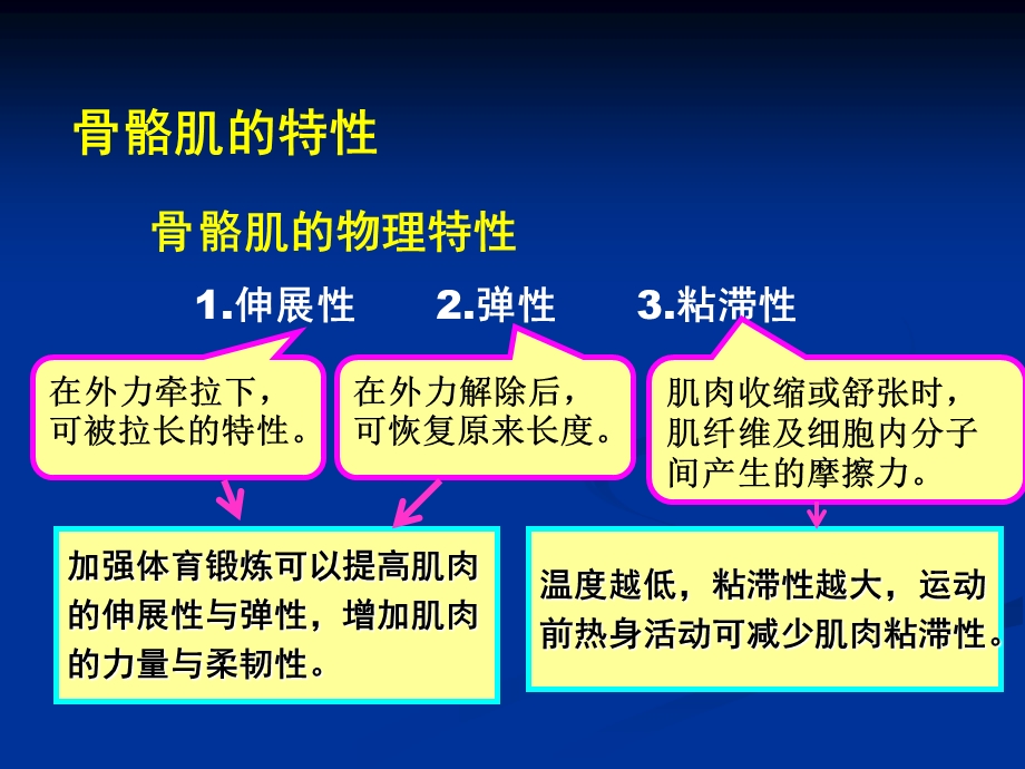 肌的生物学基础.ppt_第3页