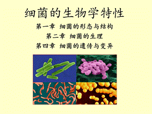 细菌的生物学特性.ppt