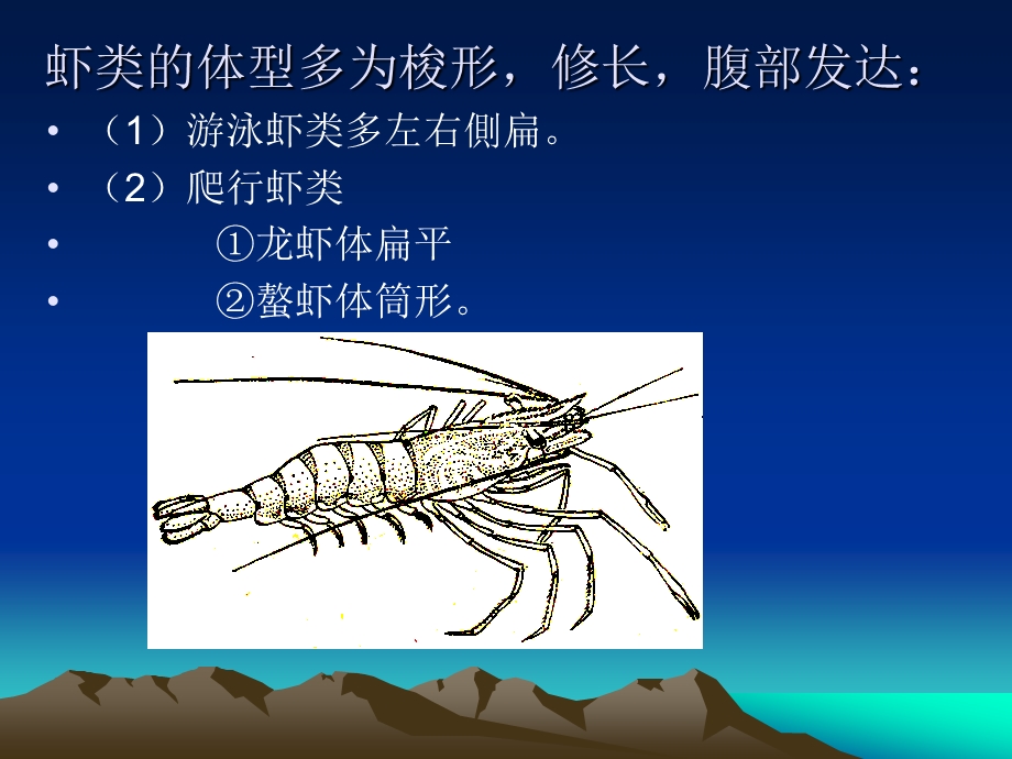 虾蟹类生物学.ppt_第3页