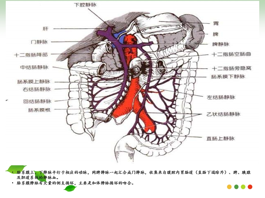 肠系膜静脉血栓形成PPT医学课件.ppt_第2页