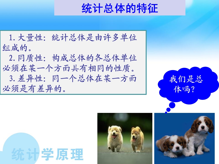 统计学的基本概念.ppt_第3页