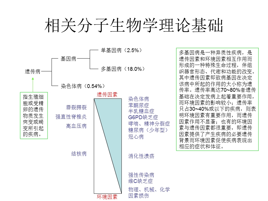 糖尿病与分子生物学.ppt.ppt_第2页