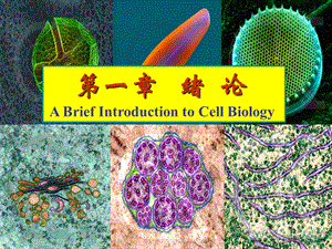 细胞生物学绪论.ppt