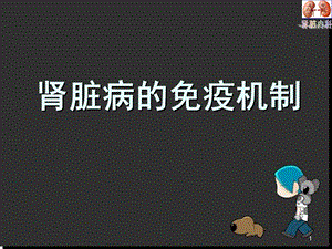 肾脏病的免疫机制医学PPT课件.ppt