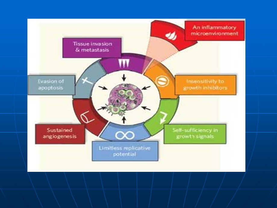 肿瘤的生物学特性.ppt_第3页