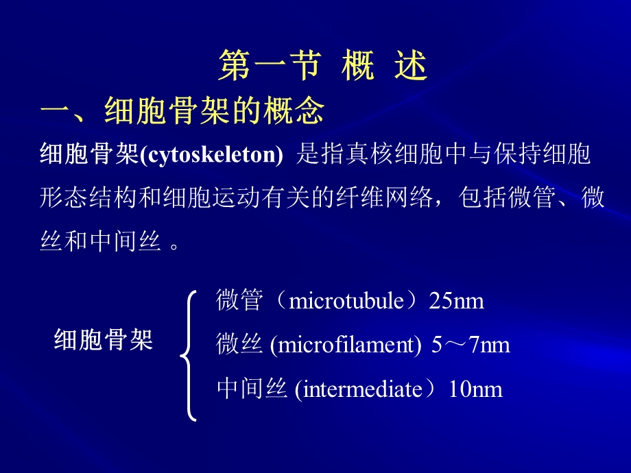 细胞骨架(细胞生物学).ppt_第3页