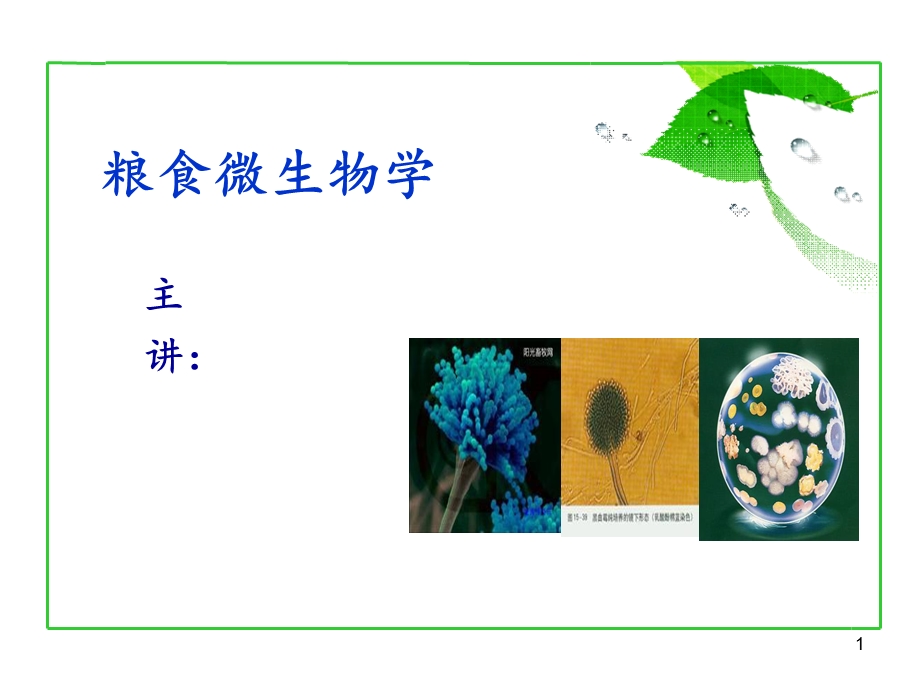 粮食微生物的形态.ppt_第1页