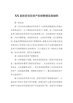 XX县扶贫项目资产后续管理实施细则.docx