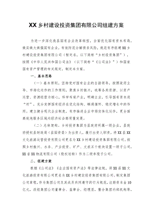 XX乡村建设投资集团有限公司组建方案.docx