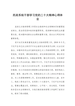 2023年民政系统干部学习党的二十大精神心得体会九篇.docx