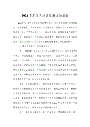 2022年度述责述德述廉述法报告.docx