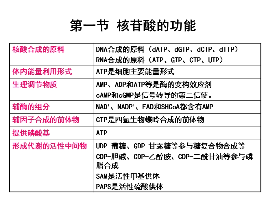 生物化学核苷酸代谢.ppt_第2页