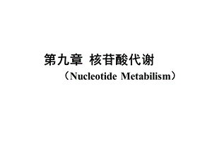 生物化学核苷酸代谢.ppt