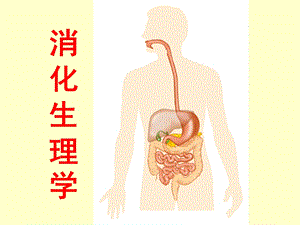 生理学消化课件.ppt