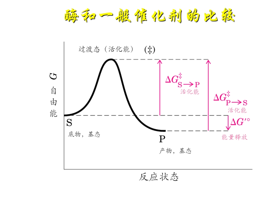 生物化学酶学.ppt_第3页