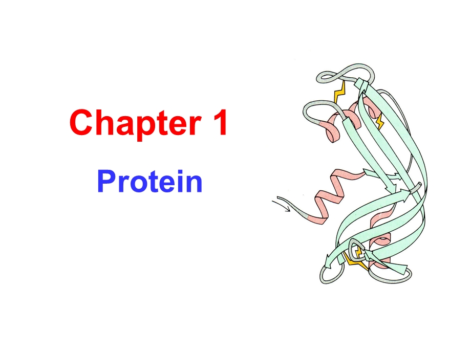 生物化学(双语).ppt_第1页