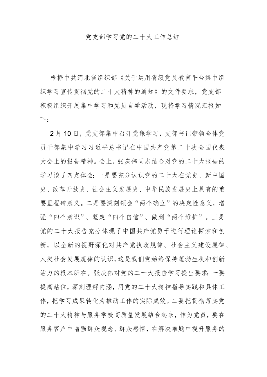 党支部学习党的二十大工作总结.docx_第1页