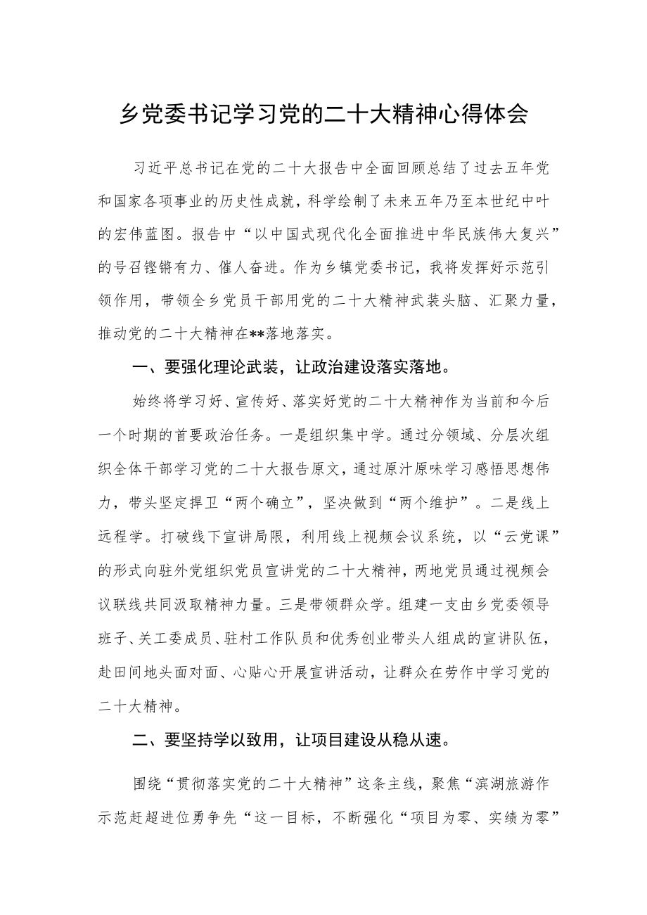 乡党委书记学习党的二十大精神心得体会.docx_第1页