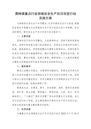 黑林镇重点行业领域安全生产百日攻坚行动实施方案.docx