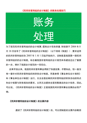 民间非营利组织会计账务处理.docx