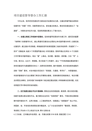 项目建设督导督办工作汇报.docx