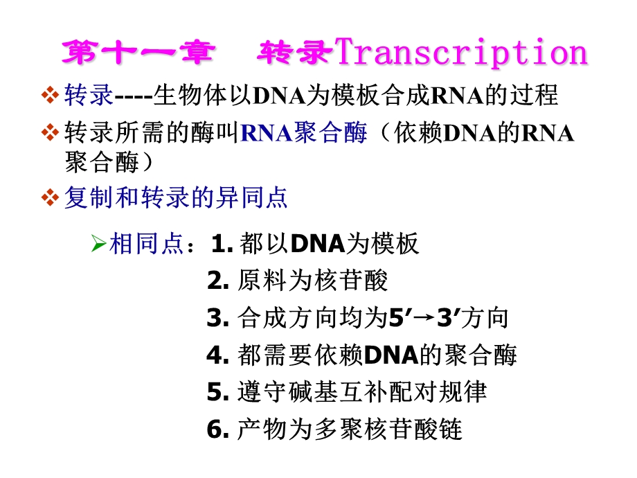 生物化学之转录.ppt_第1页