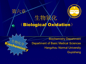 生物氧化生物化学.ppt