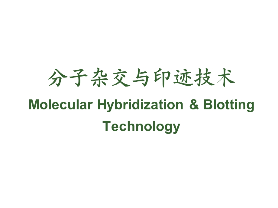 生物化学分子杂交.ppt_第1页