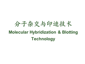 生物化学分子杂交.ppt