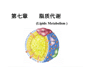 生物化学脂质代谢.ppt