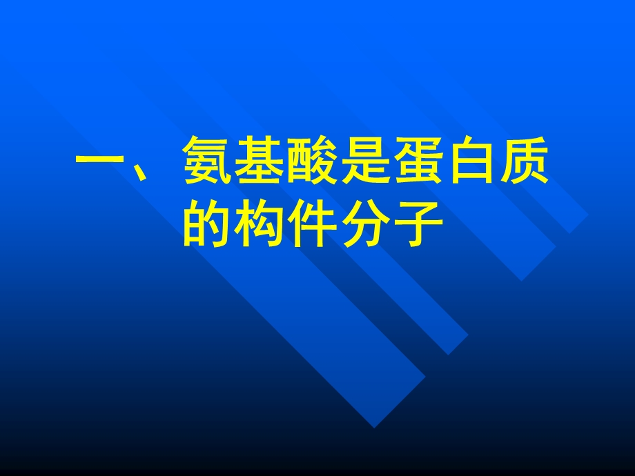 生物化学氨基酸.ppt_第3页