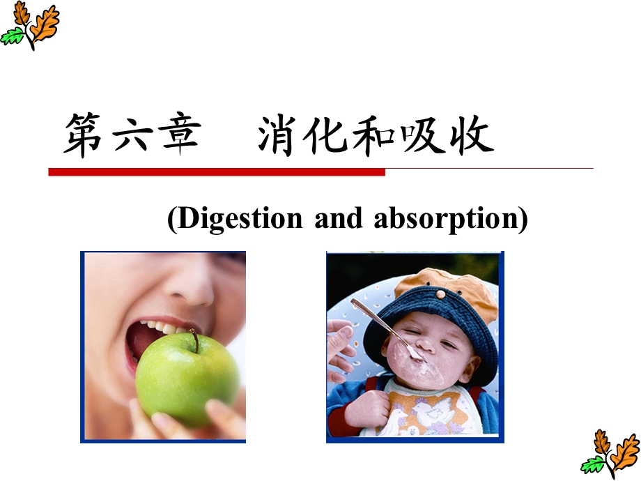 生理学消化系统.ppt_第1页