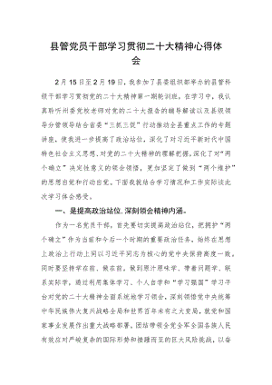 县管党员干部学习贯彻二十大精神心得体会.docx