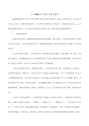 公司2023年专题生活情况报告.docx