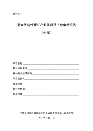 重大战略性新兴产业化项目资金申请报告编制要点.docx