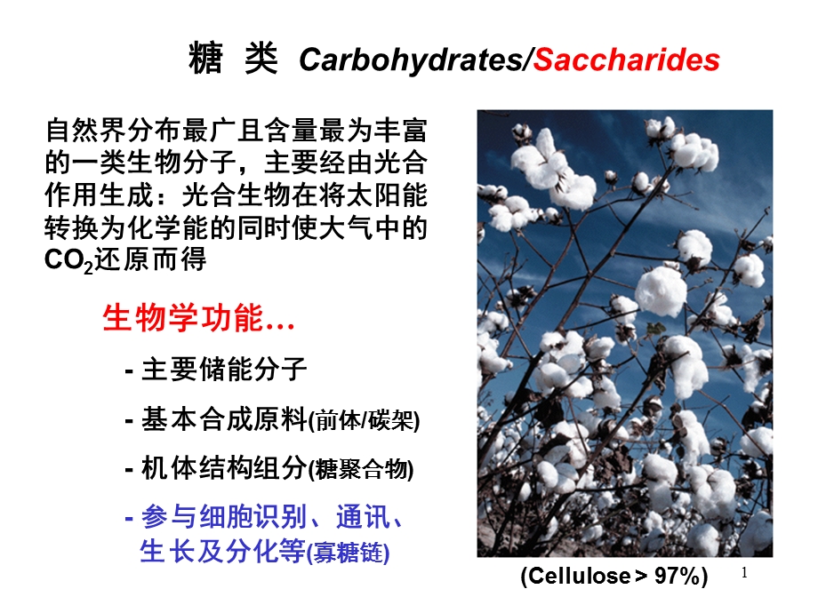 生物化学糖类ppt.ppt_第1页