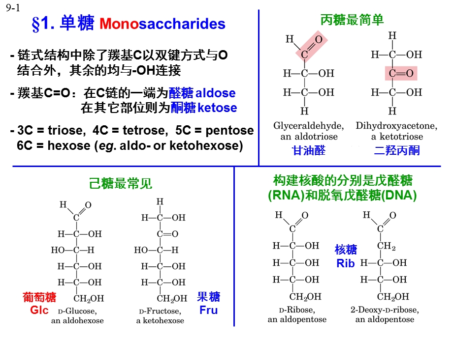 生物化学糖类ppt.ppt_第3页